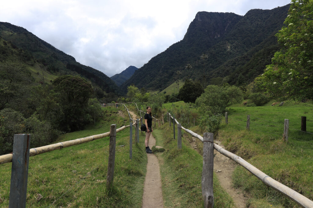 Wandelen door Cocora Vallei