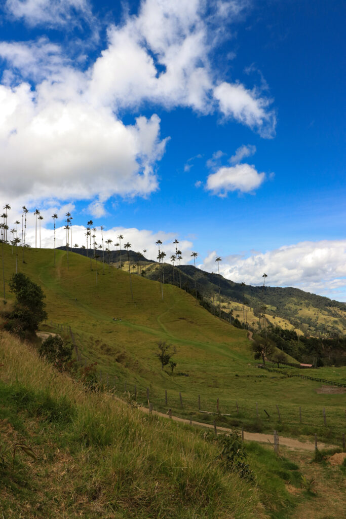 wat je niet mag missen in Colombia