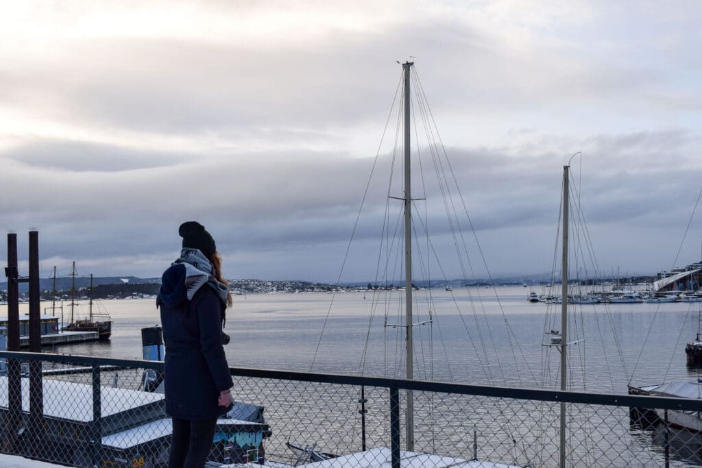 doen in Oslo ontdekt de prachtige uitzichten