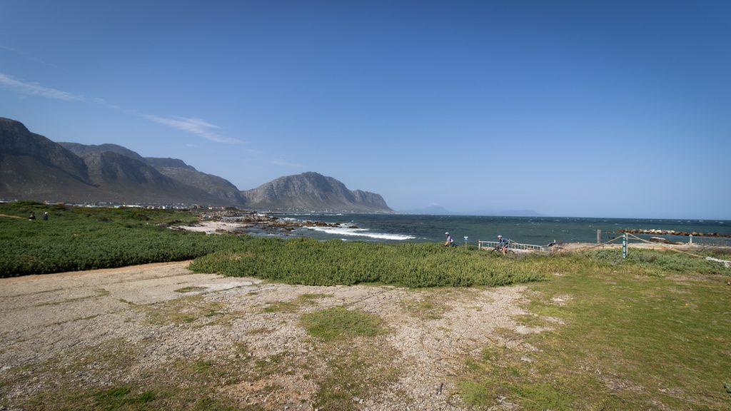 Betty's Bay prachtige tussenstop Garden Route